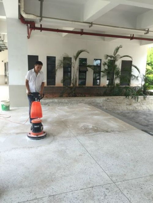 專業(yè)清潔與除四害服務(wù) 打造健康潔凈的生活與工作環(huán)境