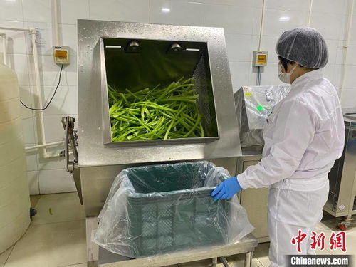 河北淶水土貨“統(tǒng)購統(tǒng)銷”進京生金，清潔服務(wù)煥新鄉(xiāng)村經(jīng)濟