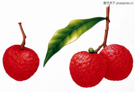 鮮果變蜜餞 一門穿越時空的傳統(tǒng)技藝